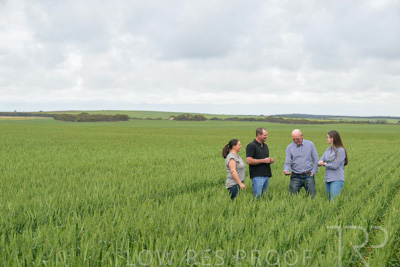 September 2024 / Malinong_SA_-Wheat-5_240925-_Z9C8791