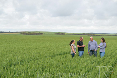 September 2024 / Malinong_SA_-Wheat-5_240925-_Z9C8796