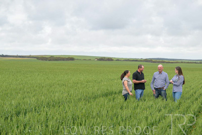 September 2024 / Malinong_SA_-Wheat-5_240925-_Z9C8802
