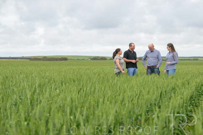 September 2024 / Malinong_SA_-Wheat-5_240925-_Z9C8808
