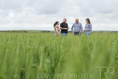 September 2024 / Malinong_SA_-Wheat-5_240925-_Z9C8815