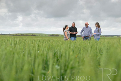 September 2024 / Malinong_SA_-Wheat-5_240925-_Z9C8822