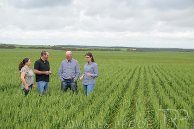September 2024 / Malinong_SA_-Wheat-5_240925-_Z9C8903