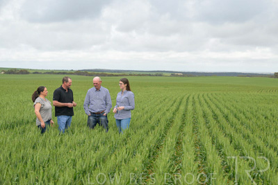 September 2024 / Malinong_SA_-Wheat-5_240925-_Z9C8904