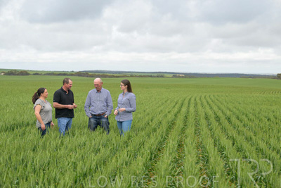 September 2024 / Malinong_SA_-Wheat-5_240925-_Z9C8905