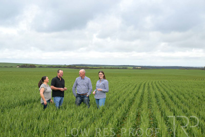 September 2024 / Malinong_SA_-Wheat-5_240925-_Z9C8909