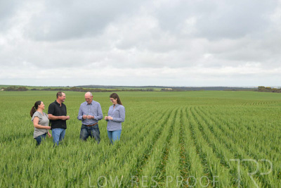 September 2024 / Malinong_SA_-Wheat-5_240925-_Z9C8916