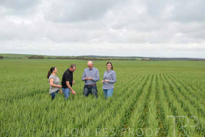 September 2024 / Malinong_SA_-Wheat-5_240925-_Z9C8926
