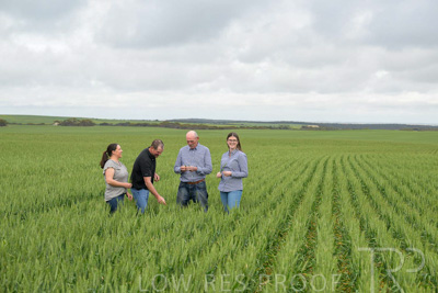 September 2024 / Malinong_SA_-Wheat-5_240925-_Z9C8927
