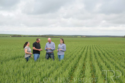 September 2024 / Malinong_SA_-Wheat-5_240925-_Z9C8930