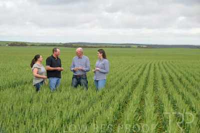 September 2024 / Malinong_SA_-Wheat-5_240925-_Z9C8933