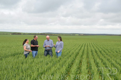 September 2024 / Malinong_SA_-Wheat-5_240925-_Z9C8934