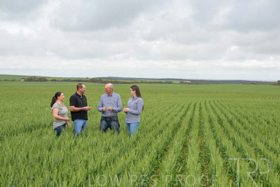 September 2024 / Malinong_SA_-Wheat-5_240925-_Z9C8936