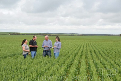September 2024 / Malinong_SA_-Wheat-5_240925-_Z9C8937