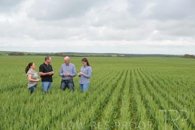 September 2024 / Malinong_SA_-Wheat-5_240925-_Z9C8939