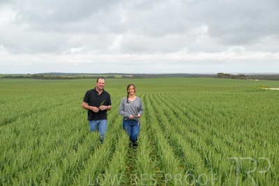 September 2024 / Malinong_SA_-Wheat-5_240925-_Z9C8949