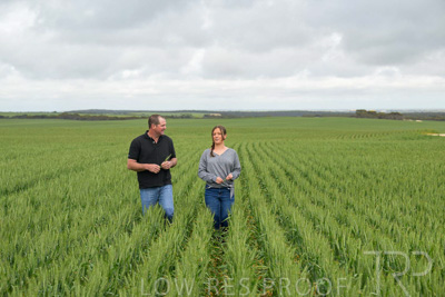 September 2024 / Malinong_SA_-Wheat-5_240925-_Z9C8953