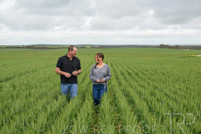 September 2024 / Malinong_SA_-Wheat-5_240925-_Z9C8958