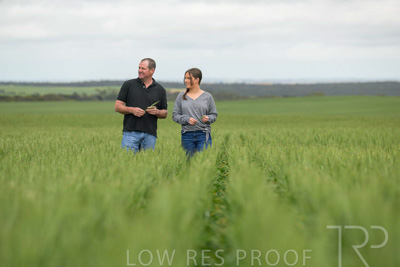 September 2024 / Malinong_SA_-Wheat-5_240925-_Z9C8964