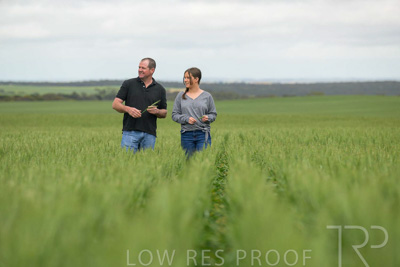 September 2024 / Malinong_SA_-Wheat-5_240925-_Z9C8965