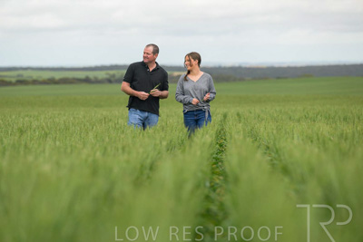 September 2024 / Malinong_SA_-Wheat-5_240925-_Z9C8966