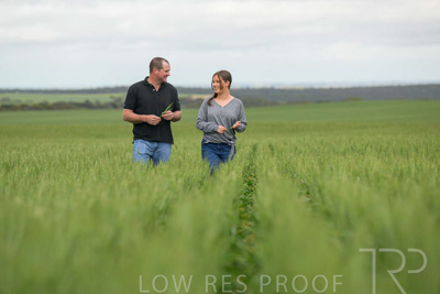 September 2024 / Malinong_SA_-Wheat-5_240925-_Z9C8971