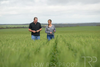 September 2024 / Malinong_SA_-Wheat-5_240925-_Z9C8977