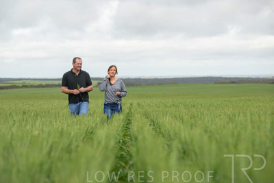 September 2024 / Malinong_SA_-Wheat-5_240925-_Z9C8987