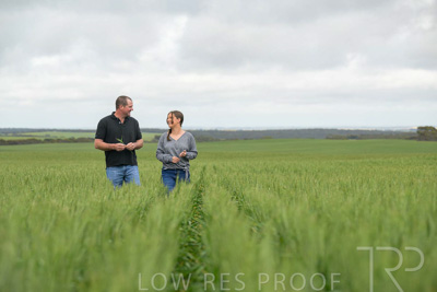 September 2024 / Malinong_SA_-Wheat-5_240925-_Z9C8996