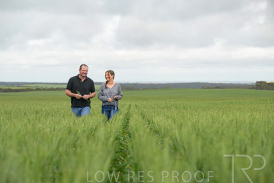 September 2024 / Malinong_SA_-Wheat-5_240925-_Z9C9000