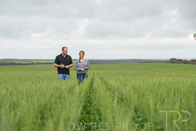 September 2024 / Malinong_SA_-Wheat-5_240925-_Z9C9010