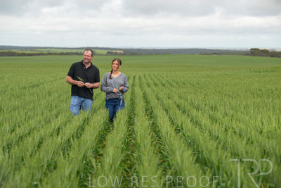 September 2024 / Malinong_SA_-Wheat-5_240925-_Z9C9023