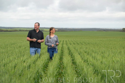 September 2024 / Malinong_SA_-Wheat-5_240925-_Z9C9035