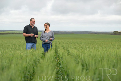 September 2024 / Malinong_SA_-Wheat-5_240925-_Z9C9037