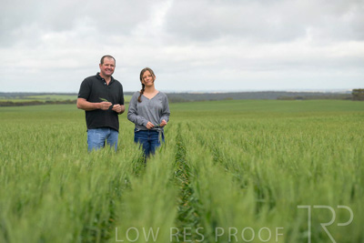 September 2024 / Malinong_SA_-Wheat-5_240925-_Z9C9043