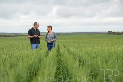 September 2024 / Malinong_SA_-Wheat-5_240925-_Z9C9050