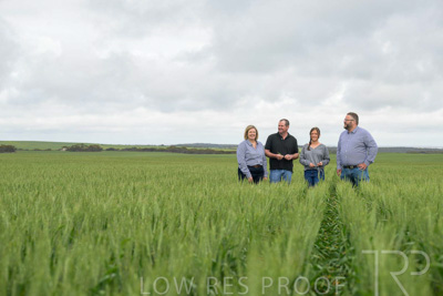 September 2024 / Malinong_SA_-Wheat-5_240925-_Z9C9061