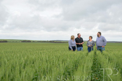 September 2024 / Malinong_SA_-Wheat-5_240925-_Z9C9064