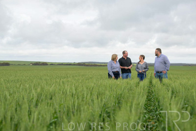 September 2024 / Malinong_SA_-Wheat-5_240925-_Z9C9068