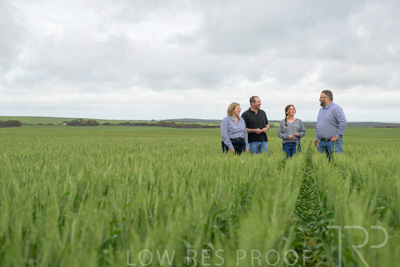 September 2024 / Malinong_SA_-Wheat-5_240925-_Z9C9069