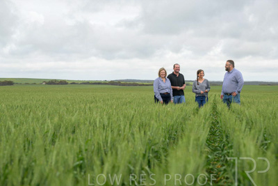 September 2024 / Malinong_SA_-Wheat-5_240925-_Z9C9081