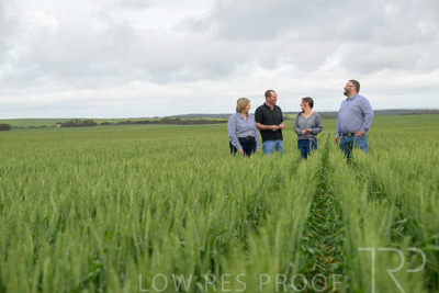 September 2024 / Malinong_SA_-Wheat-5_240925-_Z9C9090