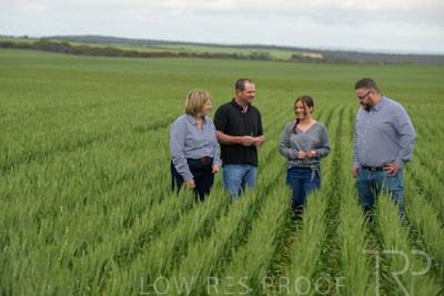 September 2024 / Malinong_SA_-Wheat-5_240925-_Z9C9098