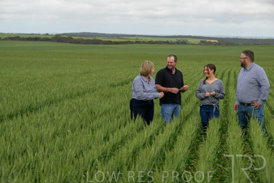 September 2024 / Malinong_SA_-Wheat-5_240925-_Z9C9106