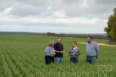 September 2024 / Malinong_SA_-Wheat-5_240925-_Z9C9112