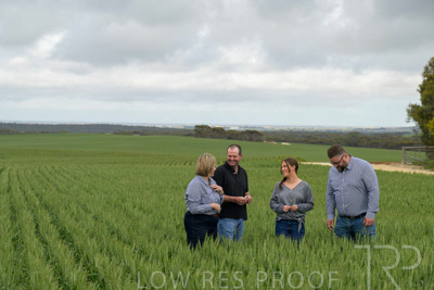 September 2024 / Malinong_SA_-Wheat-5_240925-_Z9C9115
