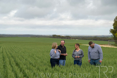 September 2024 / Malinong_SA_-Wheat-5_240925-_Z9C9117