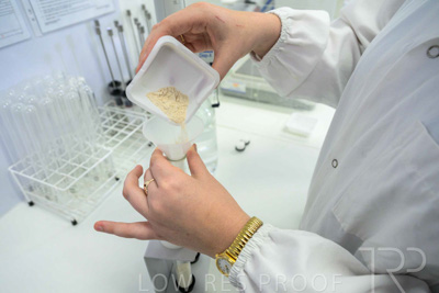 February 2025 / LAB-Falling-Numbers_250203-_Z8C4544