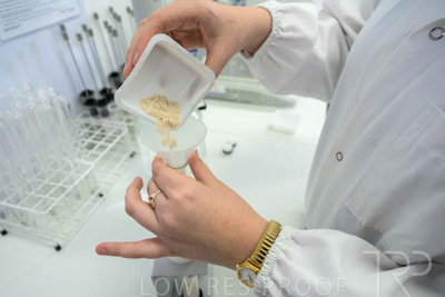 February 2025 / LAB-Falling-Numbers_250203-_Z8C4547