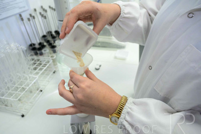 February 2025 / LAB-Falling-Numbers_250203-_Z8C4551